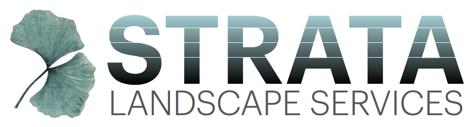 Strata Logo